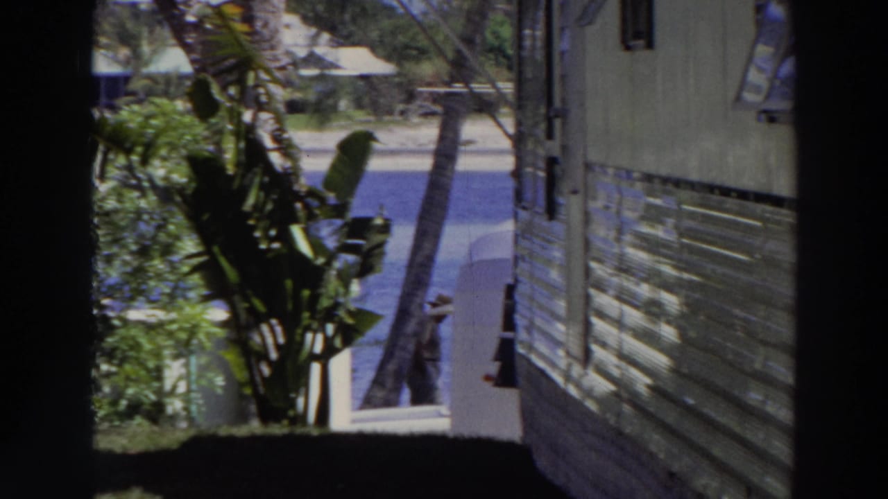Puerto Rico 1966 home-movie view of a mobile home side wall, tropical plants, palm trunk, and a bright paved area nearby.