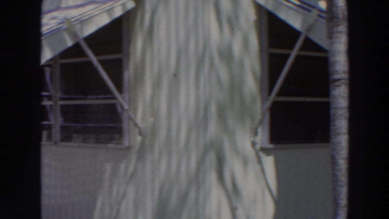 1966 Puerto Rico exterior view of a white residential facade with metal awning supports, dark windows, palm trunk, and leaf shadows.