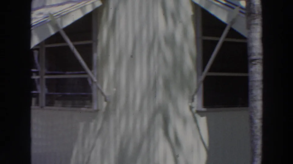 1966 Puerto Rico exterior view of a white residential facade with metal awning supports, dark windows, palm trunk, and leaf shadows.