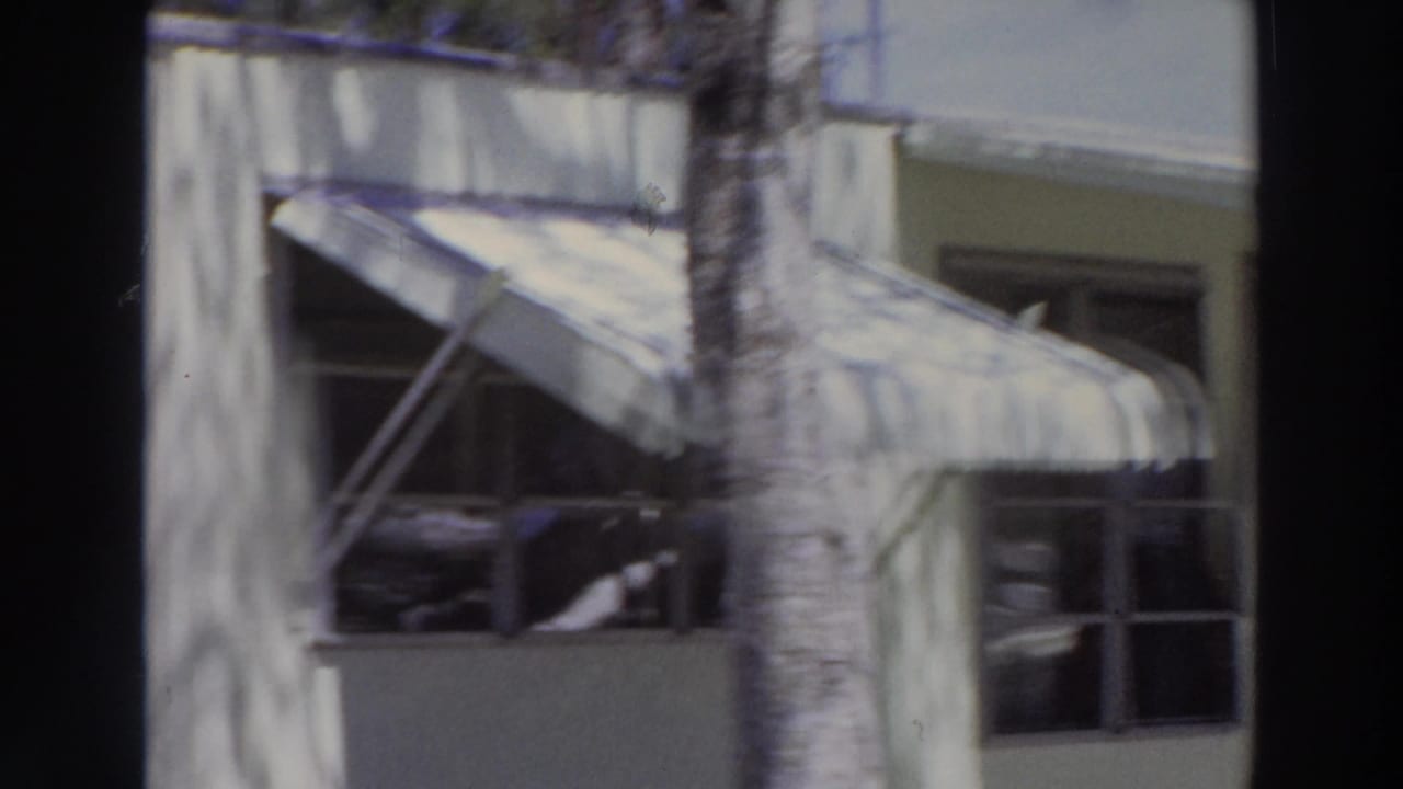 1966 Puerto Rico home-movie frame showing a sunlit pale building with striped awnings, windows, and a palm trunk crossing the view.