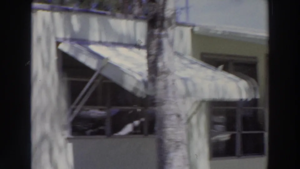 1966 Puerto Rico home-movie frame showing a sunlit pale building with striped awnings, windows, and a palm trunk crossing the view.