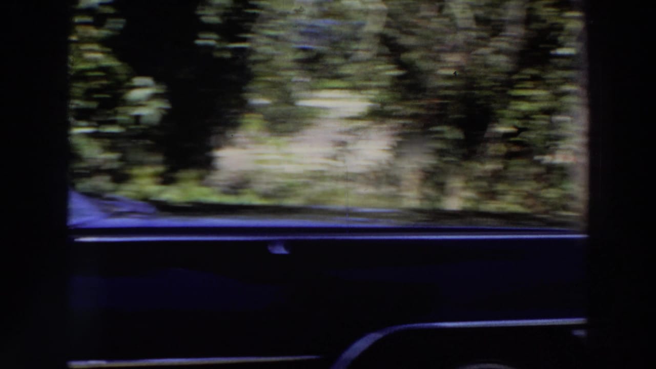 Motion-blurred 1966 Puerto Rico home-movie frame with palm foliage and the lower portion of a dark blue parked car.