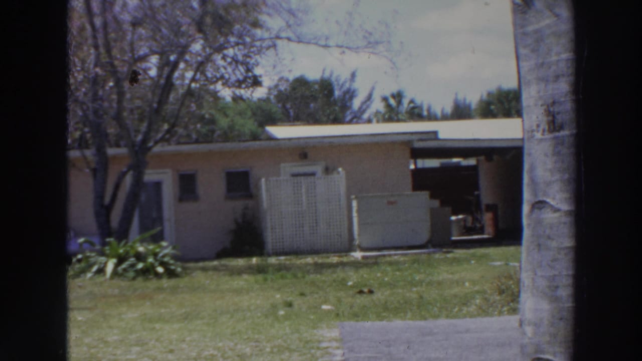 Light-colored single-story house behind grass and trees, framed by a palm trunk.