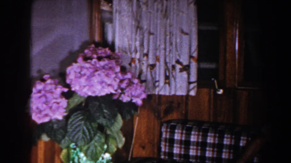 Purple flowers in the foreground near patterned curtains, wood paneling, and a plaid couch in the Brighton interior.