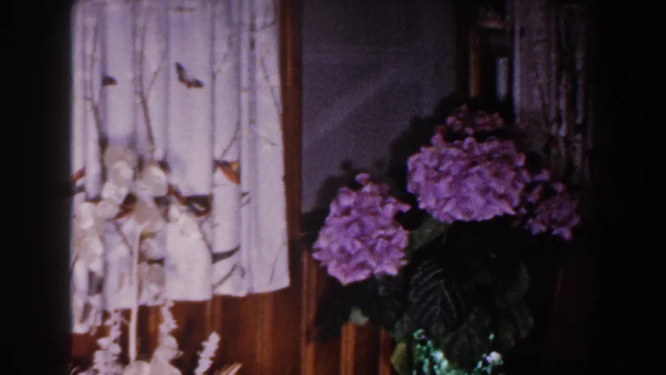 1960 Brighton, Michigan interior view with patterned white curtains, wood trim, and purple flowers near the window.