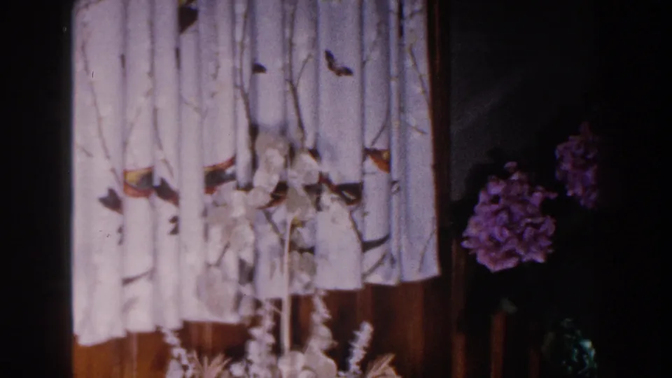 1960 Brighton, Michigan home interior frame emphasizing patterned curtains, wood paneling, and partially shadowed flowers.