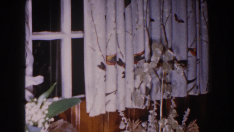 1960 Brighton, Michigan frame showing a window, patterned curtains, pale flowers, and purple hydrangeas inside a private home.