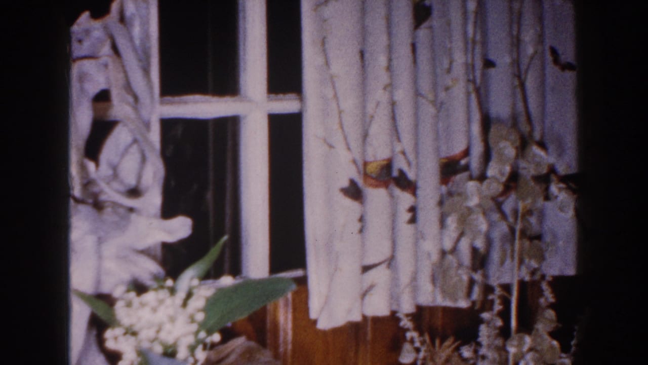 Window with white patterned curtains, wood paneling, and a small white floral arrangement.