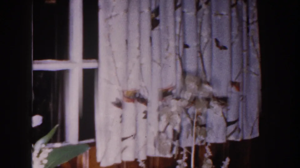 White birch-pattern curtains and indoor greenery beside a window in a 1960 Brighton, Michigan home interior.