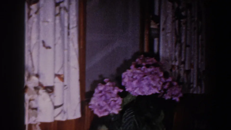 Purple hydrangeas sit below patterned curtains in a softly exposed 1960 Brighton, Michigan living room view.