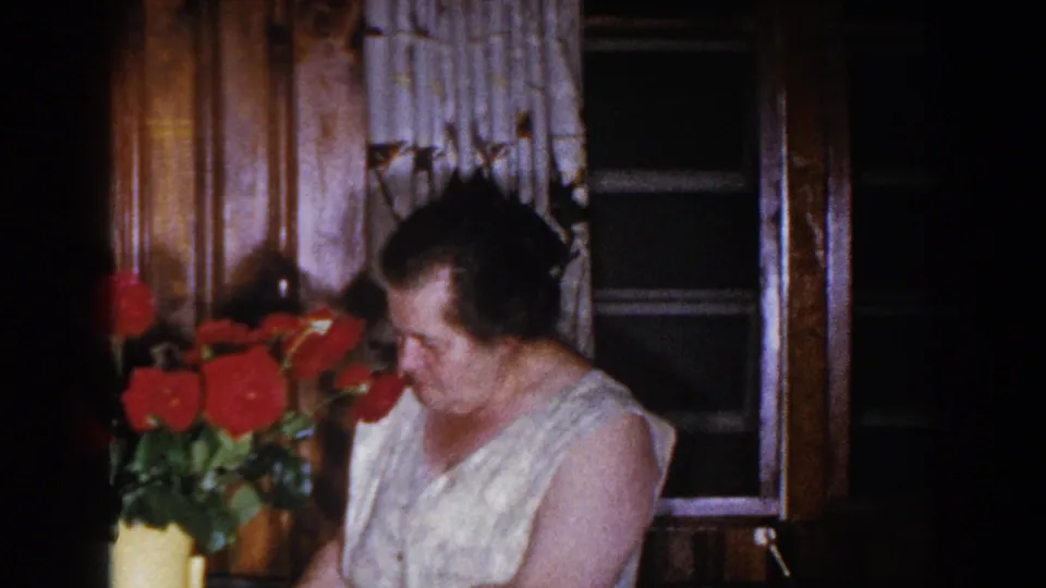 The woman appears beside bright red roses in a yellow vase, with wood trim and curtained windows behind her.