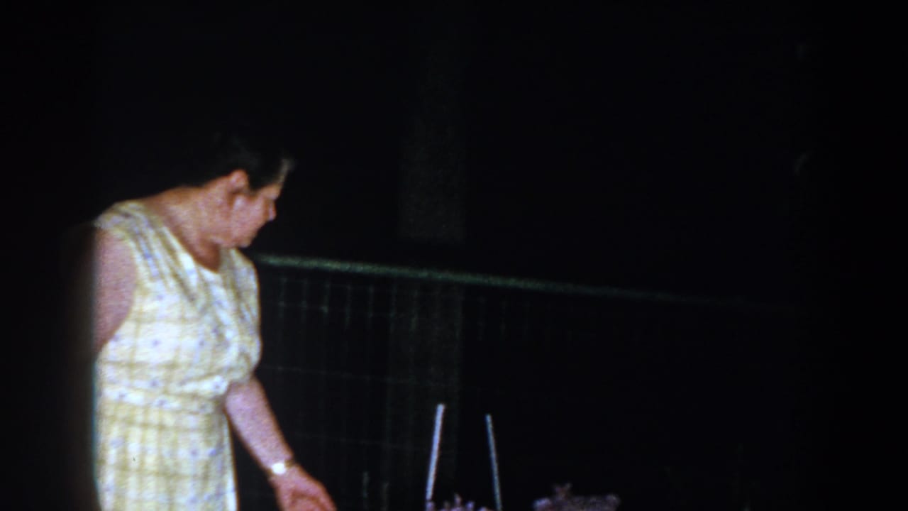 The woman appears lit against a dark outdoor background as she looks toward flowers beside a wire fence in Brighton, Michigan.