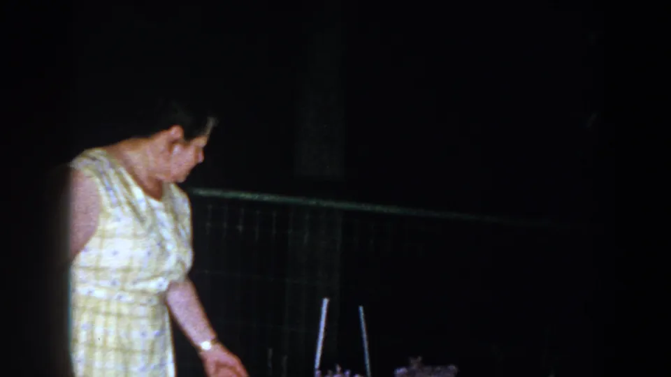 The woman appears lit against a dark outdoor background as she looks toward flowers beside a wire fence in Brighton, Michigan.