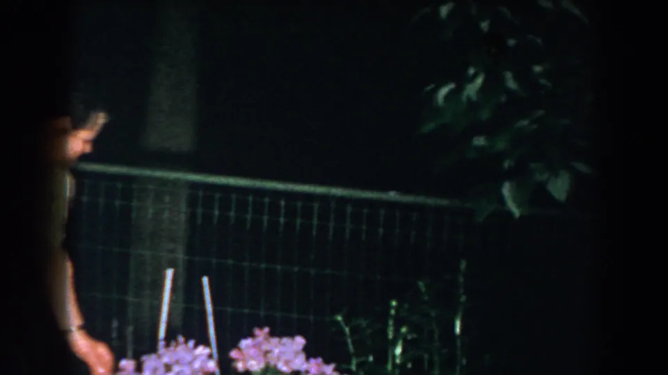 A partially framed woman bends toward purple-pink flowers in a dark garden area, with a wire fence behind them.