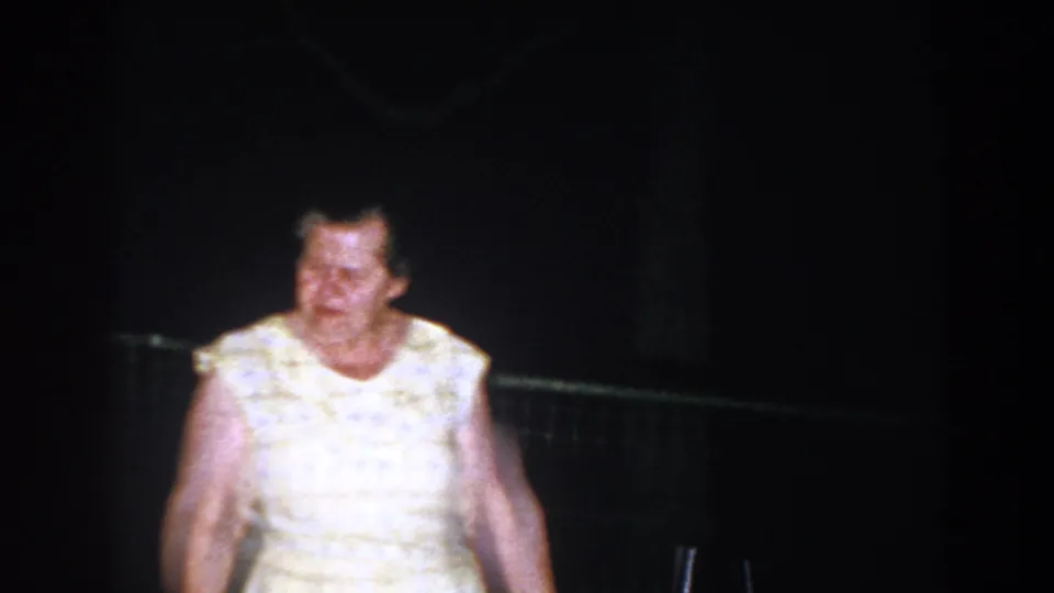 An older woman in a pale patterned dress is illuminated at night near flowers and a wire fence in Brighton, Michigan.