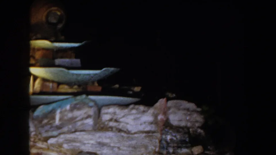 A tiered fountain or display appears beside a stone-textured base in 1960 Brighton, Michigan 8mm footage.