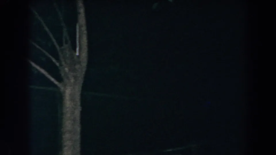 1960 8mm frame from Brighton, Michigan showing a dark garden with a pale tree trunk and branches against the night.