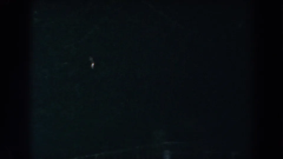 Low-exposure 1960 8mm night frame from Brighton, Michigan with faint foliage and tree forms barely visible.