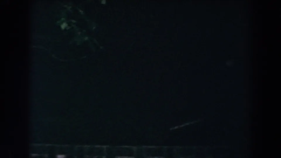 1960 8mm night view in Brighton, Michigan with dim leaves and indistinct garden shapes in heavy shadow.