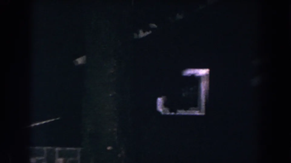 1960 8mm Brighton, Michigan night frame with dark foliage and a small bright rectangular opening or reflection.