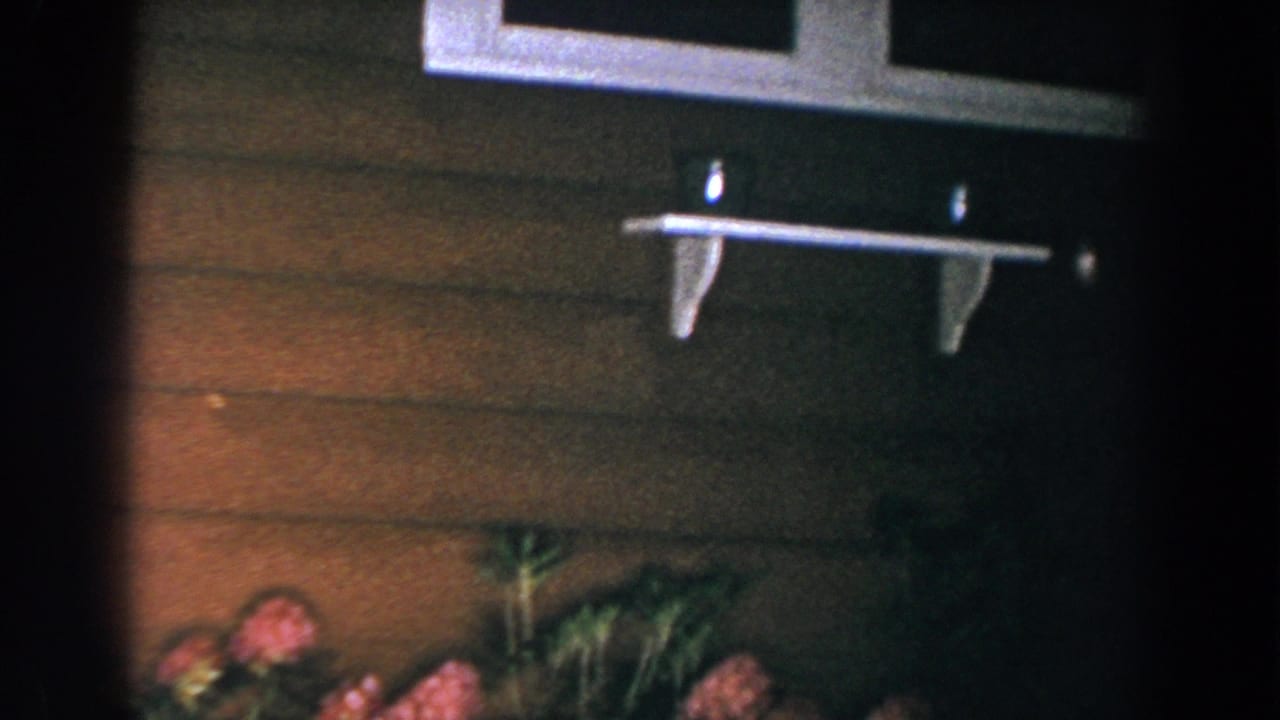 Brown house siding with flowers below and a small white shelf near a window.