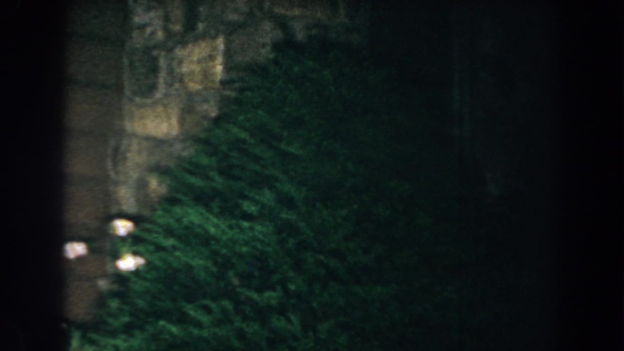 Dark stone exterior partly hidden by dense shrubs and small bright lights.