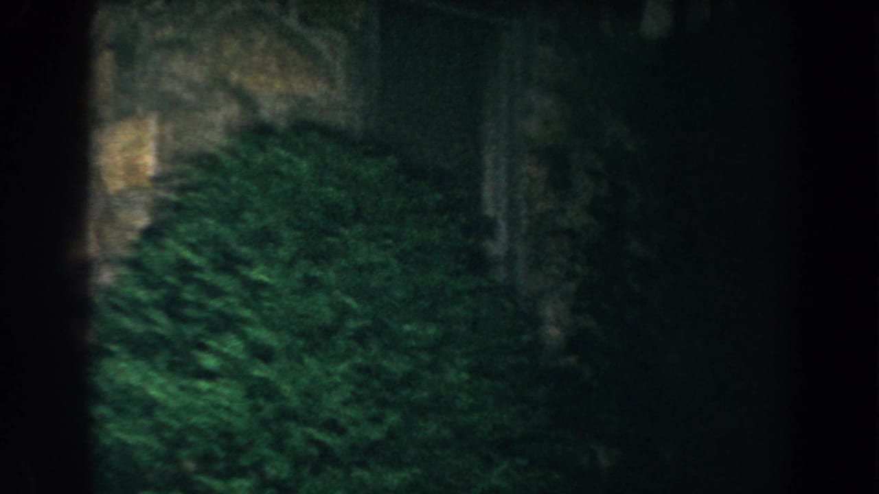 Shadowed stone wall with dense green shrubbery across the lower frame.