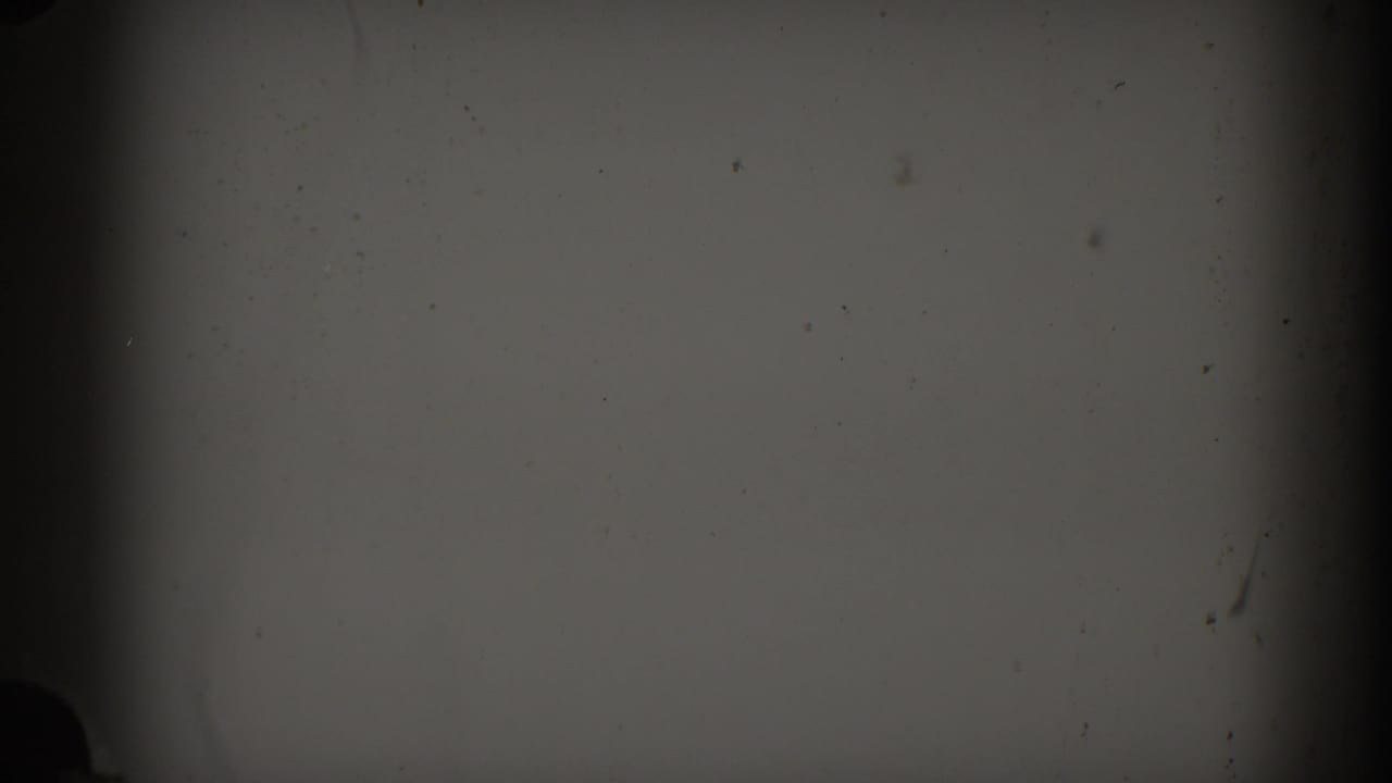 Dark, grainy film frame with vertical edge shadows, dust, and little discernible subject.