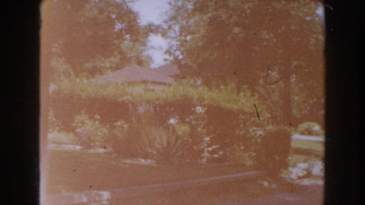 Hazy view of a green garden with trees, hedges, and a red-roofed house in the background.