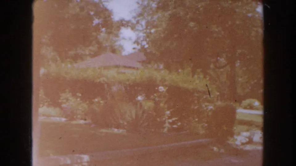 Soft 1960 8mm frame from Brighton, Michigan showing a sunlit suburban garden, trees, hedges, and a red-roofed house beyond the lawn.