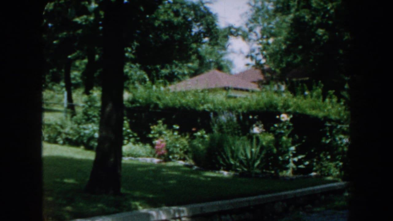 Garden lawn with mature trees, hedges, flowers, stone edging, and a house roof in the distance.