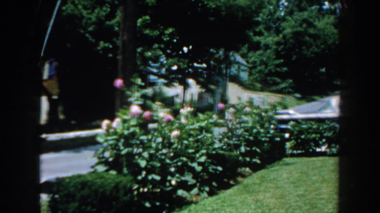 Brighton, Michigan 1960 home-movie view of a green lawn, pink roses, trees, and street framed by a dark doorway or window.