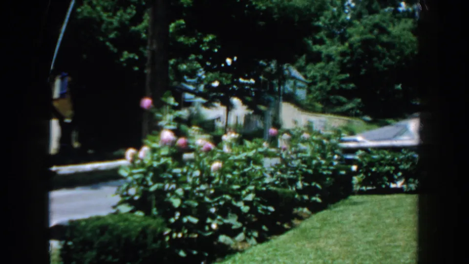 Brighton, Michigan 1960 home-movie view of a green lawn, pink roses, trees, and street framed by a dark doorway or window.