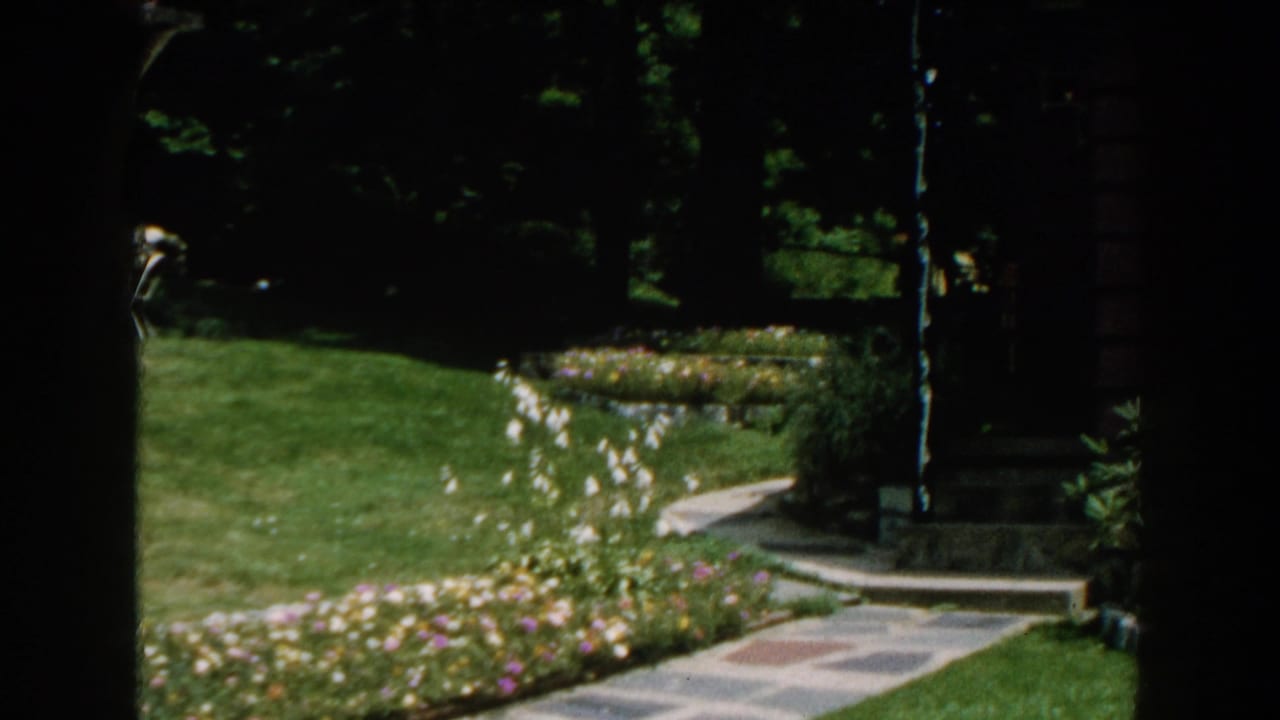 Sunny lawn with flower beds, stone path, trees, and part of a brown house.