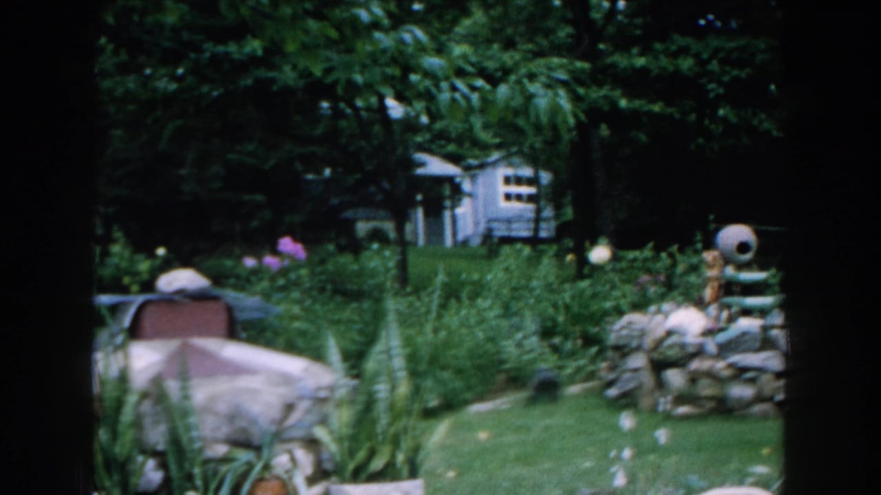 1960 Brighton, Michigan yard view with a covered garden object in the foreground, tall greenery, stone feature, and blue structure in the distance.
