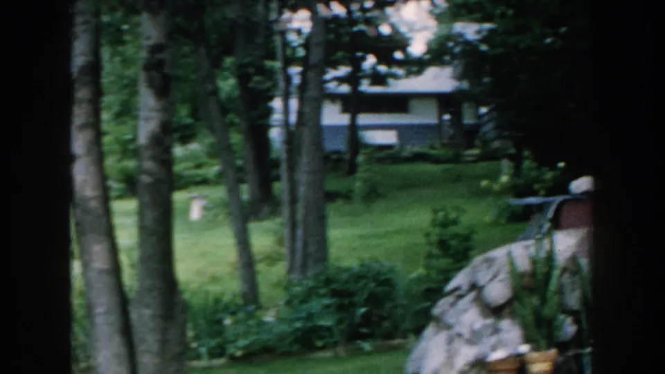 1960 Brighton, Michigan home-movie frame with tree trunks, lawn, shrubs, partial stonework, and a light-colored structure beyond the garden.
