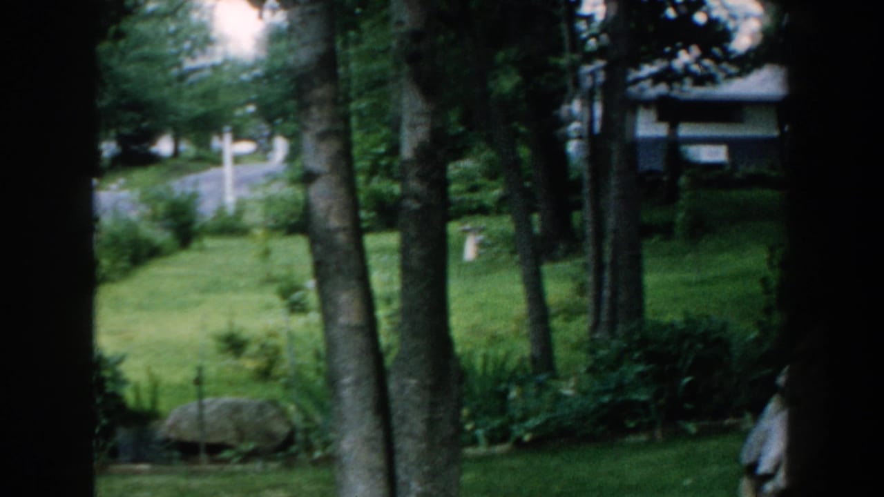 1960 Brighton, Michigan 8mm frame showing tall trees, a lawn, shrubs, and a quiet road beyond the yard.