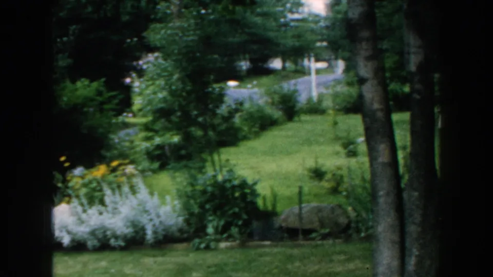 1960 Brighton, Michigan garden view with trees, planted borders, lawn, and a residential road behind the yard.