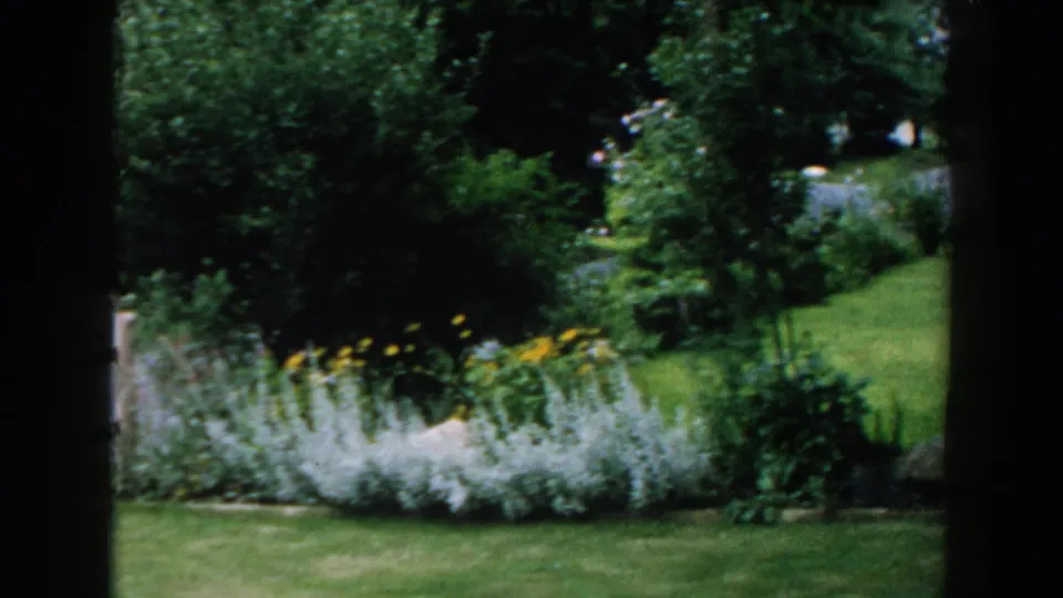 1960 Brighton, Michigan home-movie frame of a planted flowerbed, lawn, trees, and a roadside edge.