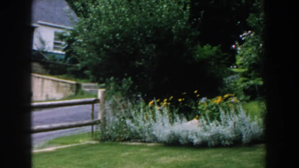 1960 Brighton, Michigan frame showing a lush garden border, tall trees, fence rails, road, and part of a house.