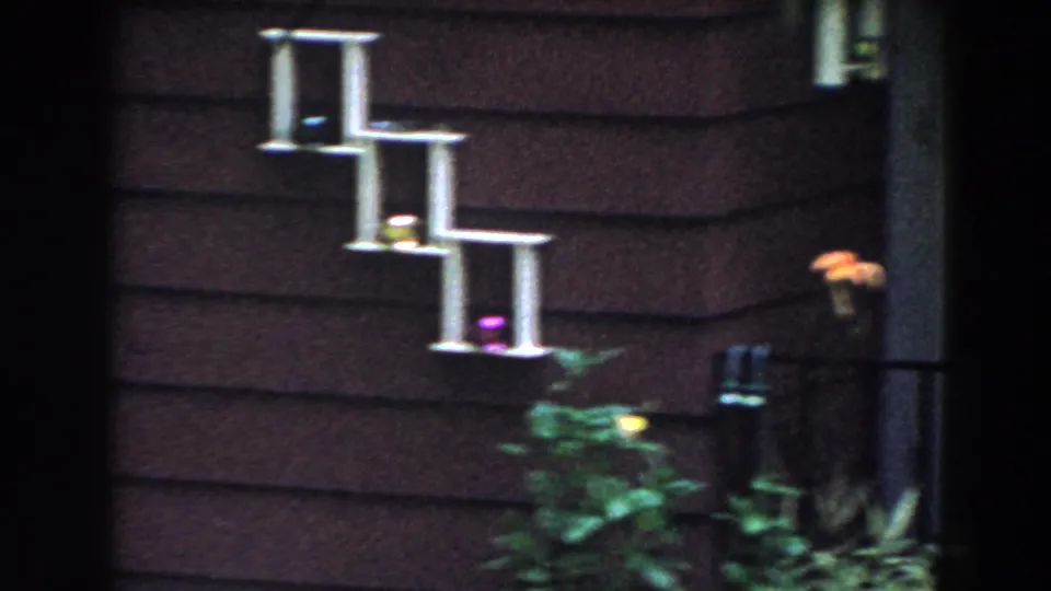 1960 Brighton home exterior detail showing dark siding, shiny geometric wall decor, potted greenery, and a small flower near the doorway.