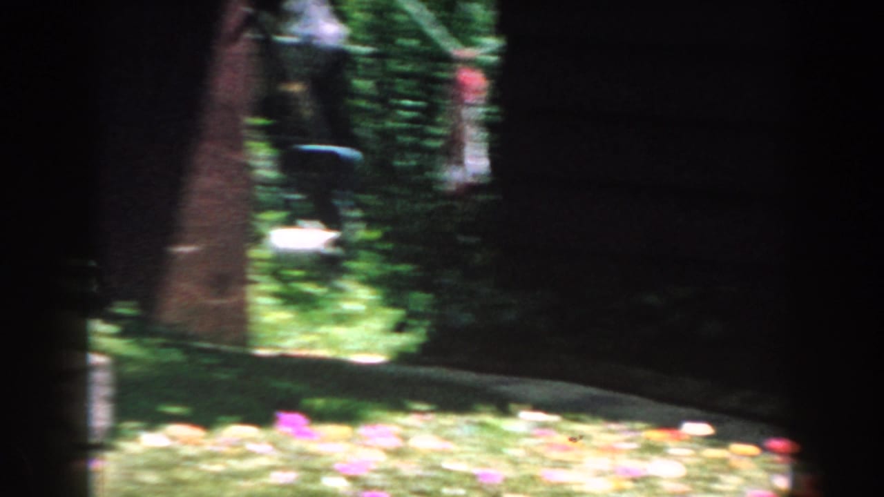 1960 Brighton, Michigan backyard view with lawn, tree trunks, scattered flowers, and a red hanging feeder in soft focus.