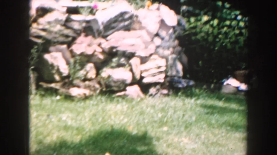 1960 Brighton, Michigan 8mm frame showing a low stone retaining wall with lawn, shrubs, and small flowers nearby.