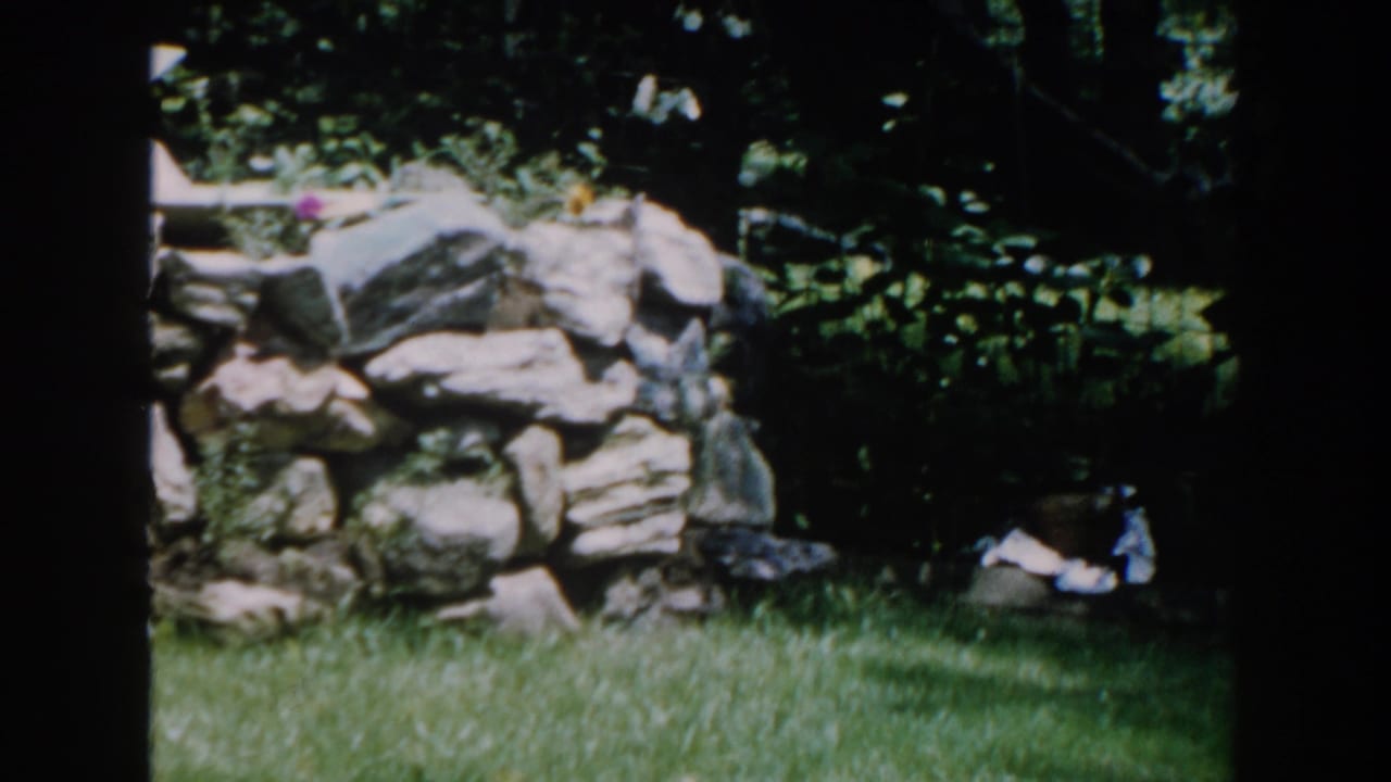 Sunlit garden with a rough stone wall, grass, foliage, and a small pale object near the base.