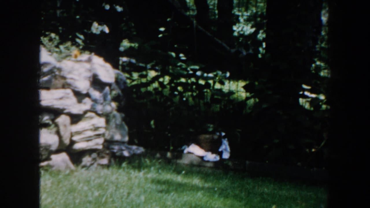 1960 Brighton, Michigan garden view with a gray rock wall, green lawn, shaded plants, and a pale object near the base.