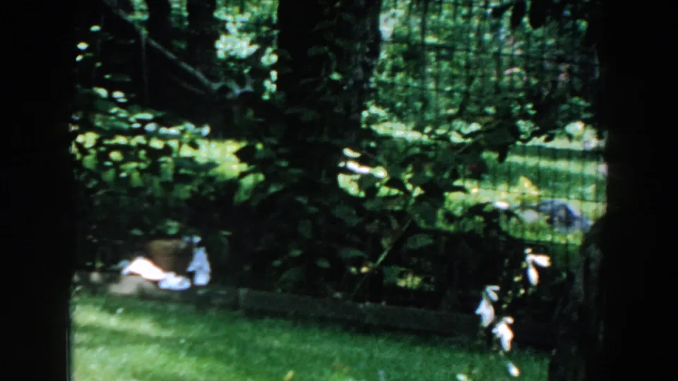 1960 Brighton, Michigan home-movie frame showing wire fencing, leafy shade, lawn, and low garden edging.