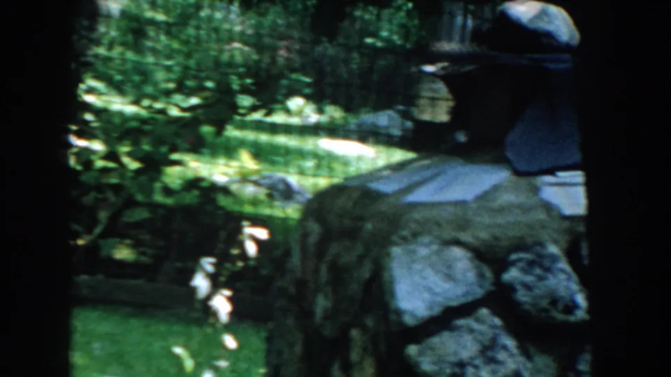1960 Brighton, Michigan garden frame with wire fencing, green lawn, foliage, and a stone feature entering at right.
