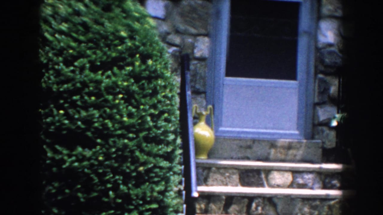 Stone house entrance with blue double doors, front steps, shrubs, and a yellow vase.