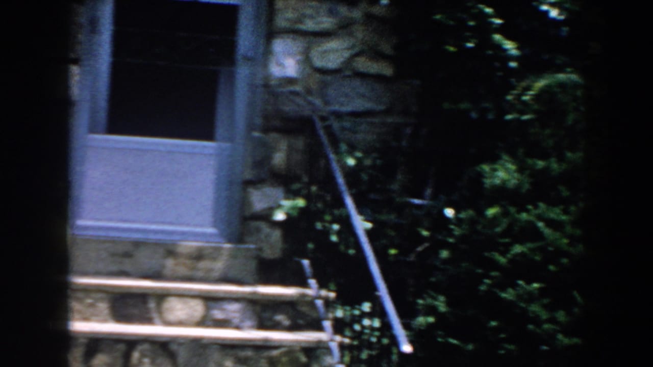 Stone front entrance with blue doors, steps, handrail, shrubs, and dark doorway.