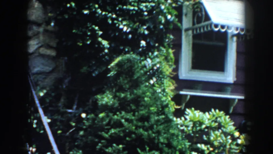 1960 Brighton, Michigan home-movie frame showing shrubs and ivy beside red siding, a white-trimmed window, and a striped awning.
